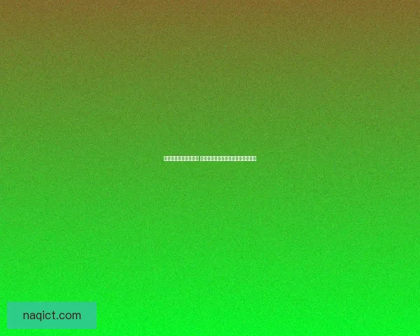 兽灵行者暴力出装分析 强化伤害与生存能力的最佳装备选择